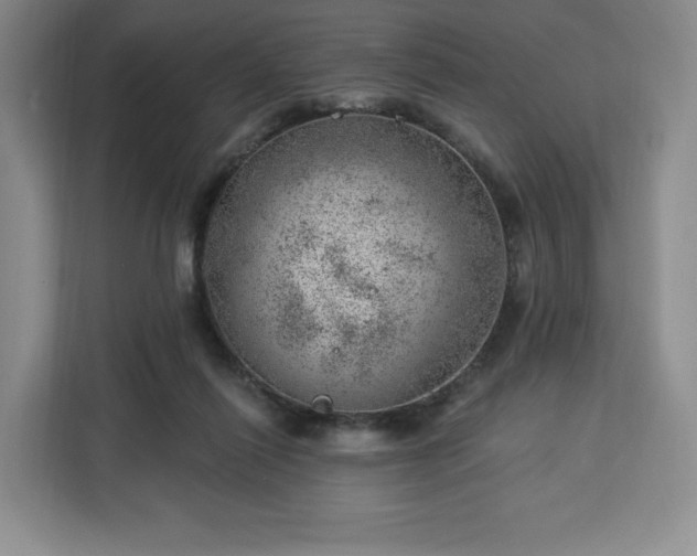 X0000112920262200908311303