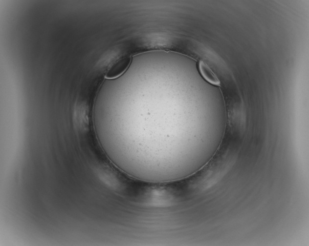 X0000112920264200908311303