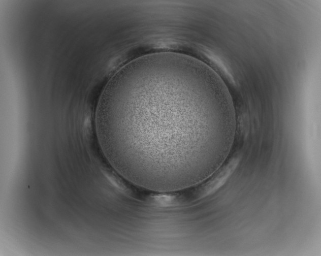 X0000112920265200908311303