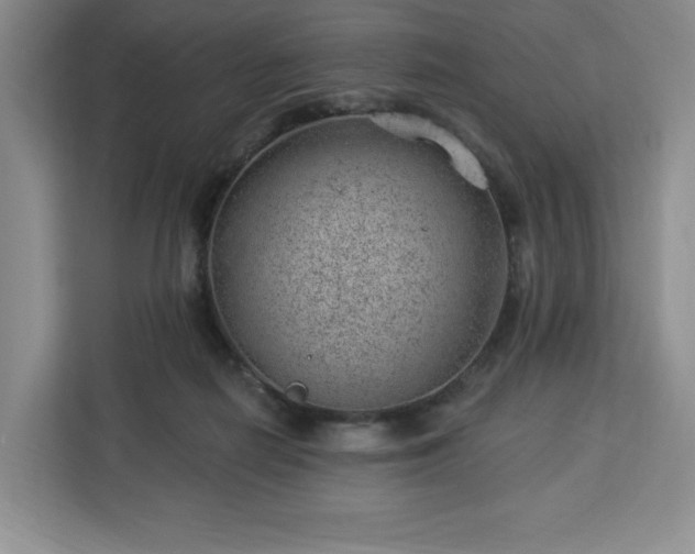 X0000112920266200908311303