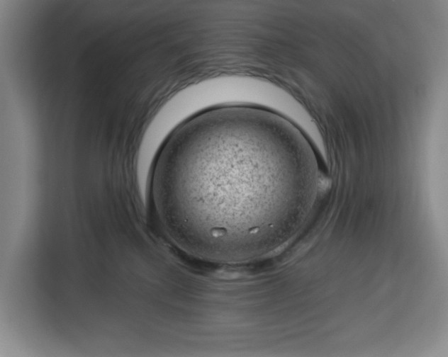 X0000112920280200908311303