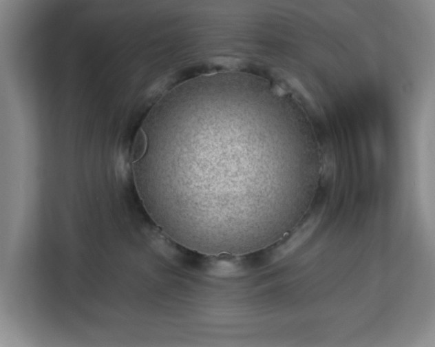 X0000112920285200908311303