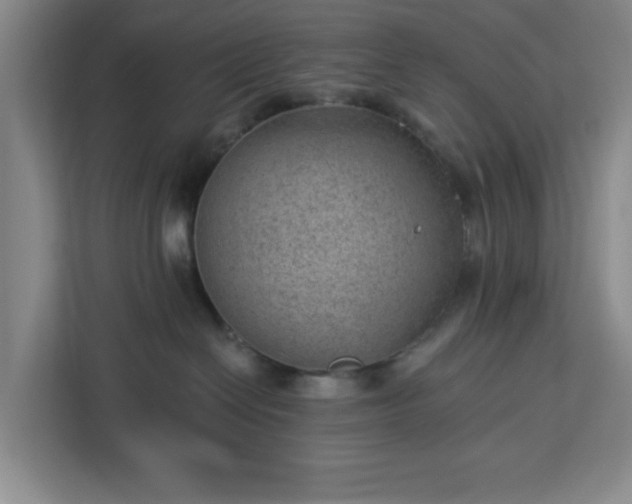 X0000112920286200908311303