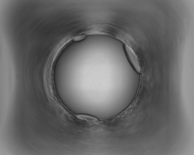X0000112920289200908311303