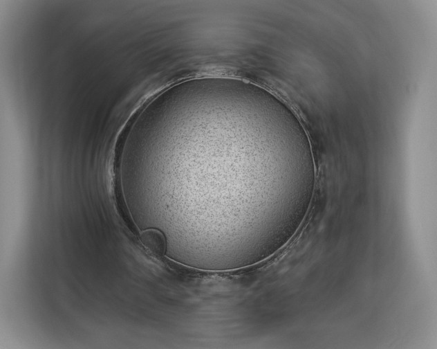 X0000112920290200908311303