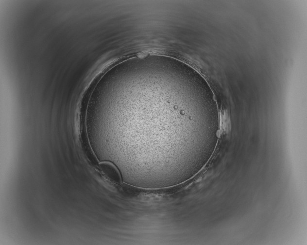 X0000112920291200908311303