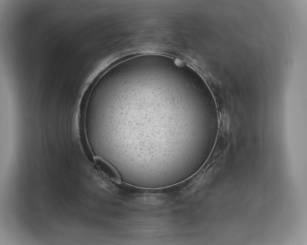 X0000112920292200908311303