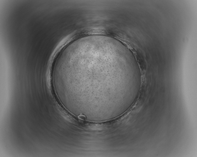 X0000112920293200908311303