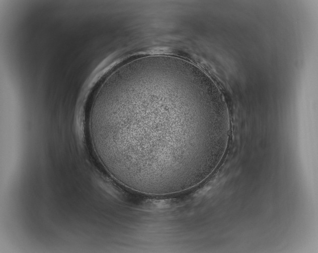 X0000112920295200908311303