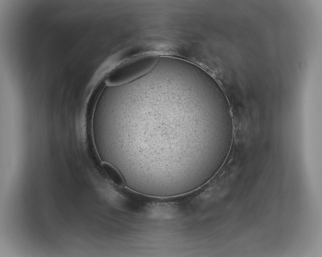 X0000112920296200908311303