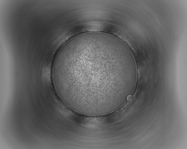 X0000112920297200908311303