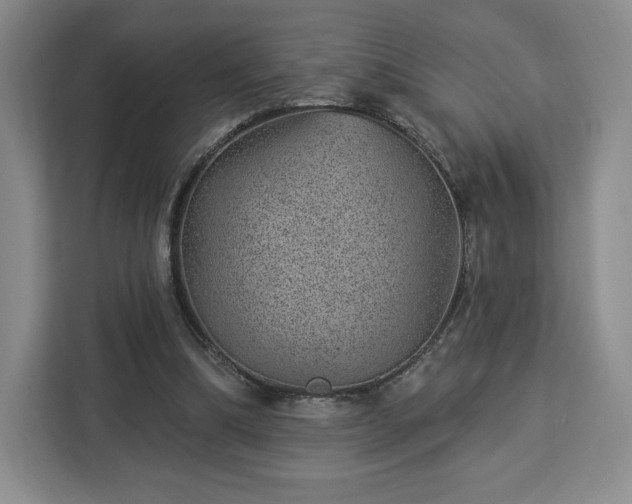 X0000112920298200908311302