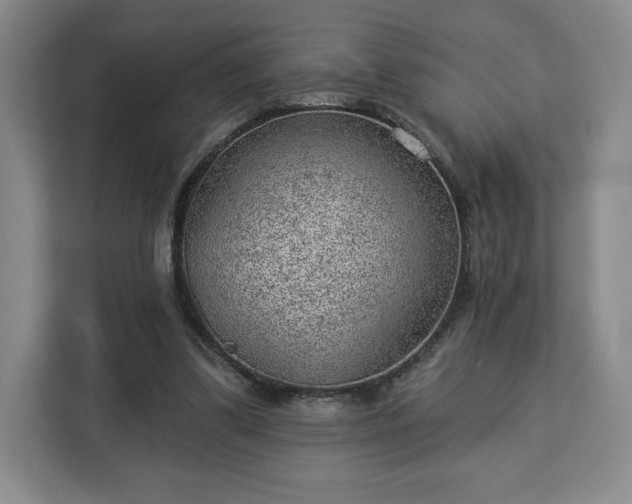 X0000112920299200908311302