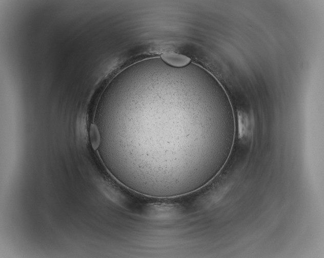 X0000112920300200908311302