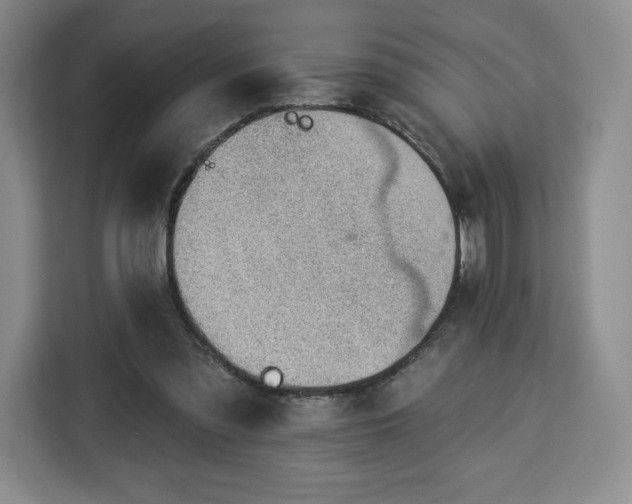 X0000112920301200908311302