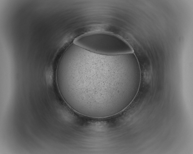 X0000112920304200908311302