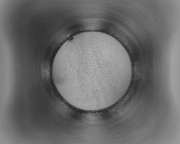 X0000112920305200908311302