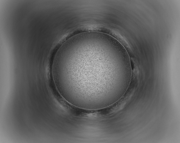 X0000112920306200908311302