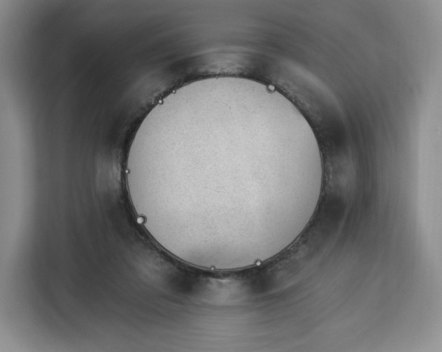 X0000112920309200908311302
