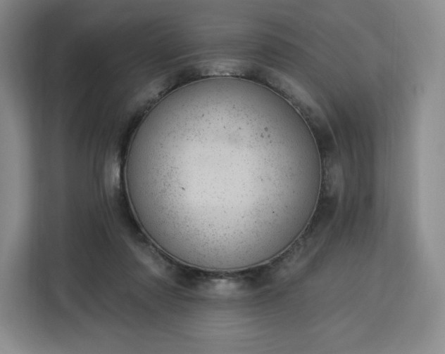 X0000112920310200908311302