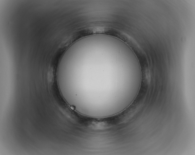 X0000112920311200908311302
