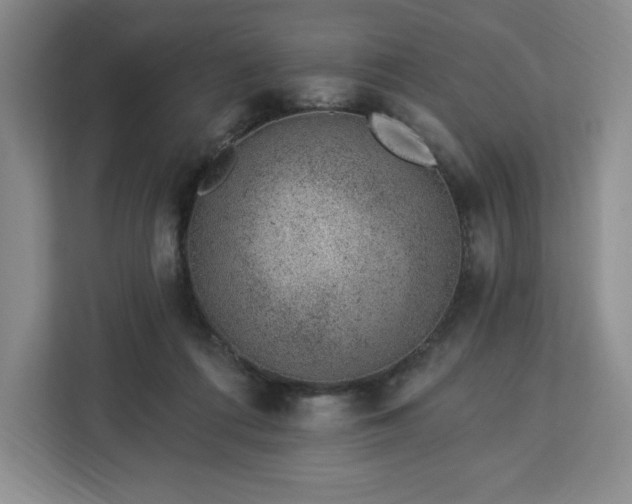 X0000112920312200908311302