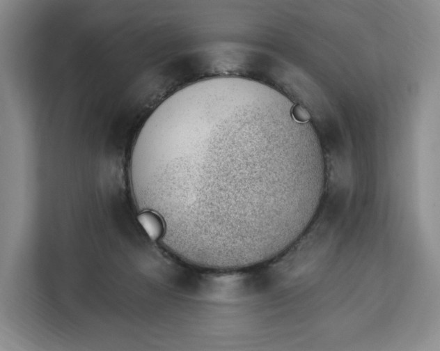 X0000112920313200908311302