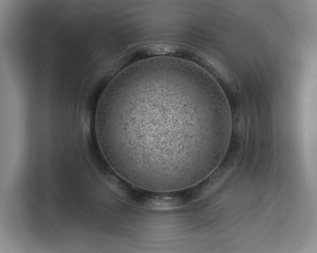 X0000112920315200908311302