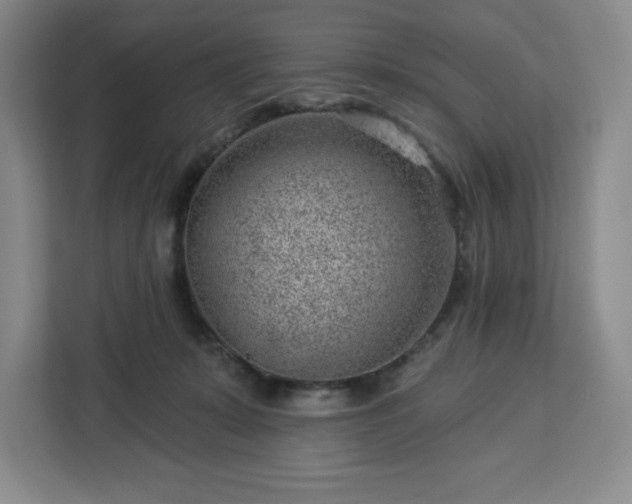 X0000112920319200908311302