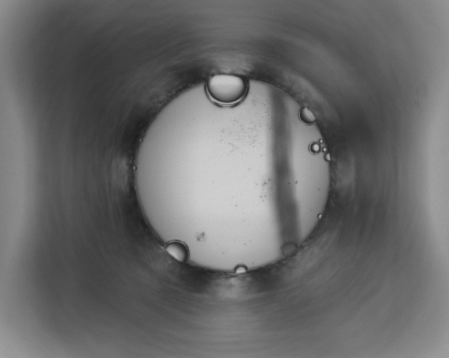 X0000112920321200908311302