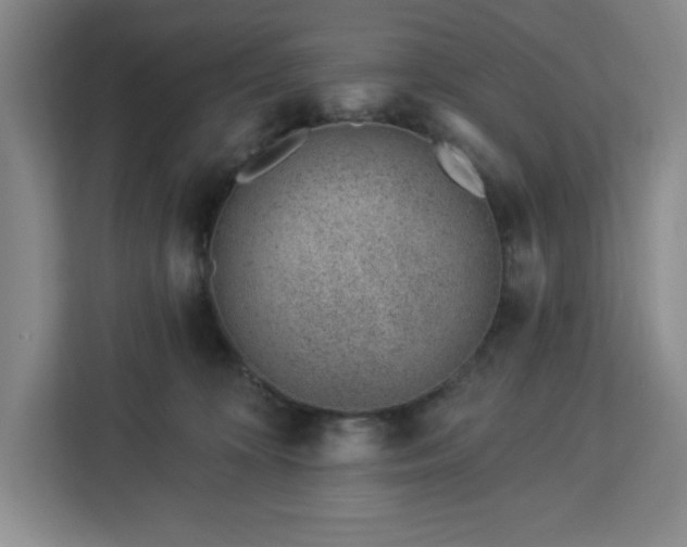 X0000112920324200908311302