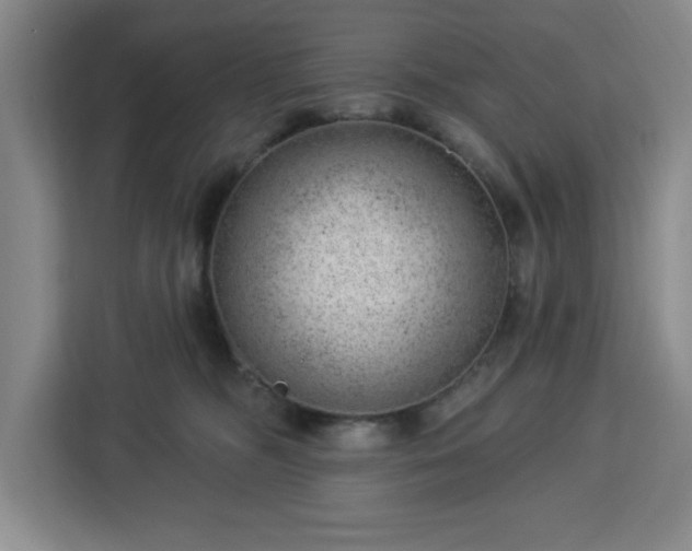 X0000112920326200908311302