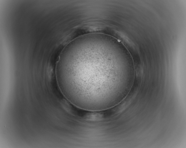X0000112920327200908311302