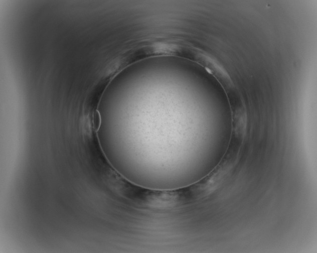 X0000112920329200908311302