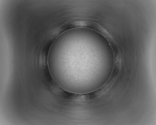 X0000112920330200908311302