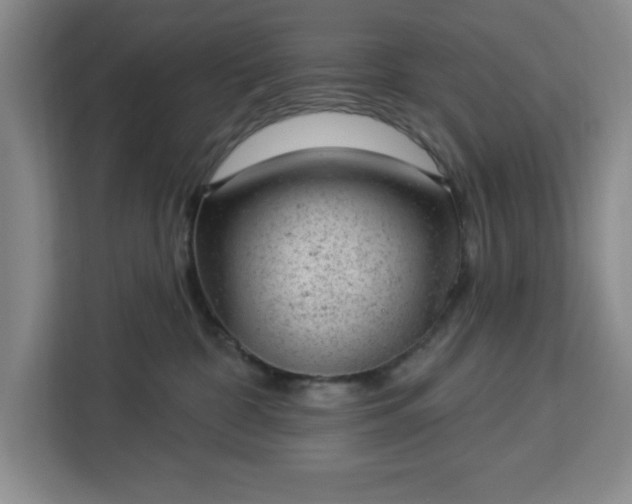 X0000112920332200908311302