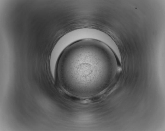 X0000112920333200908311302