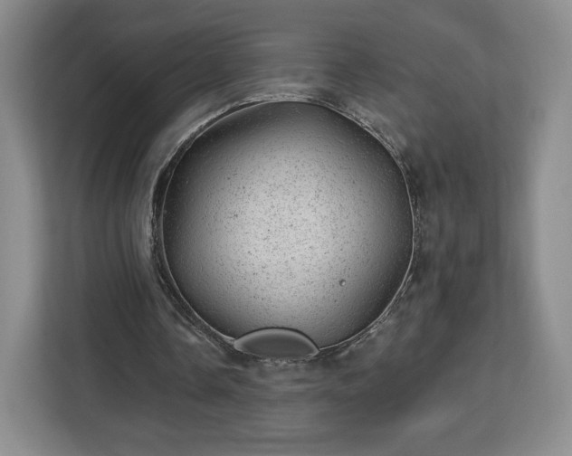 X0000112920338200908311301