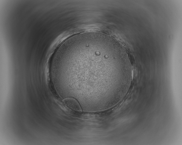 X0000112920339200908311301