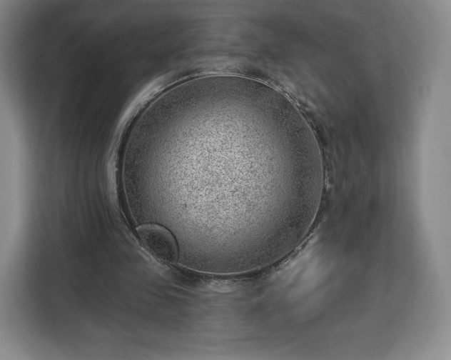 X0000112920341200908311301