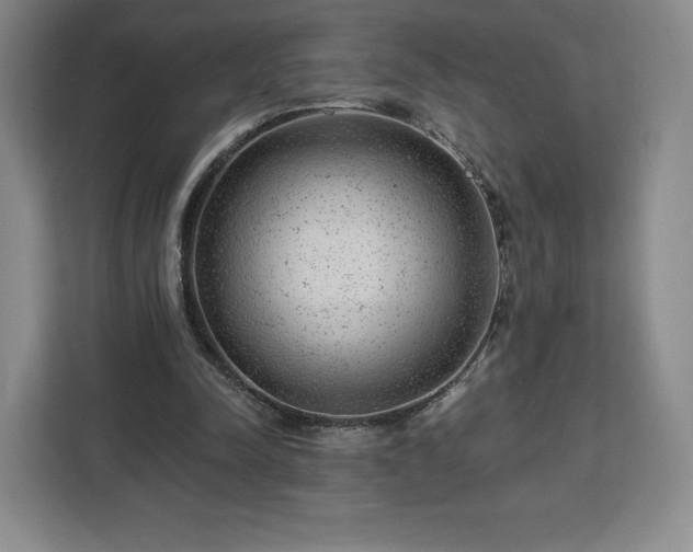 X0000112920342200908311301