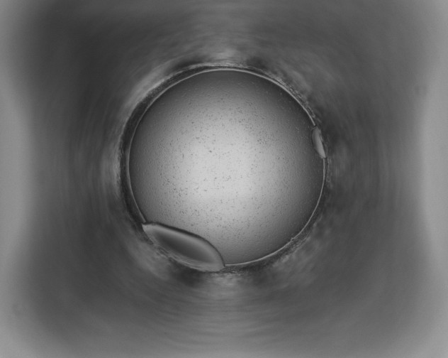 X0000112920344200908311301