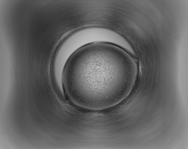X0000112920348200908311302