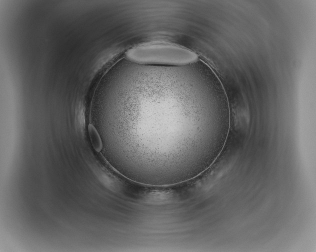 X0000112920350200908311302