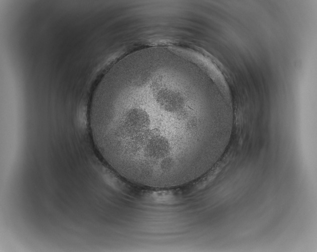 X0000112920353200908311302
