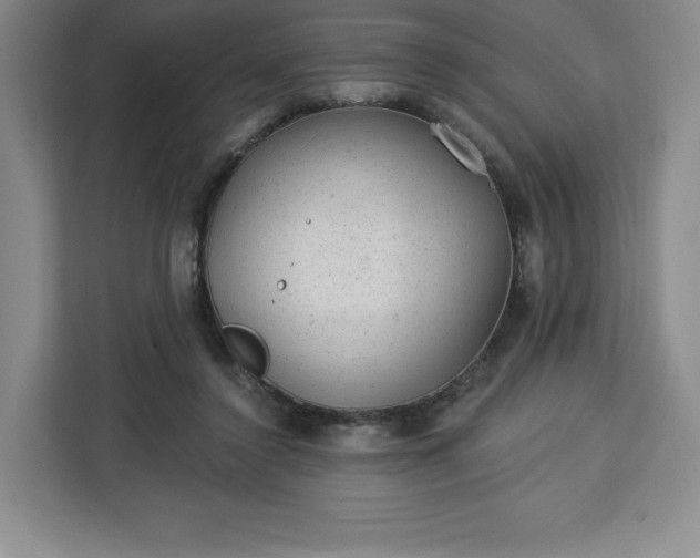 X0000112920356200908311302