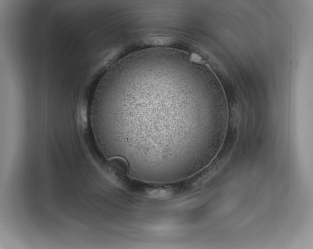 X0000112920358200908311302