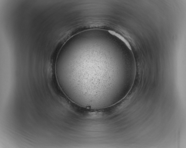 X0000112920362200908311302