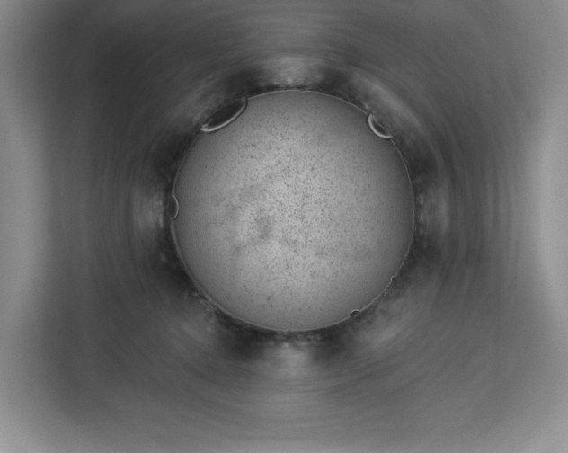 X0000112920368200908311302