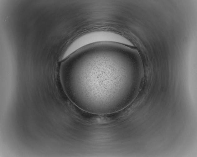 X0000112920372200908311302